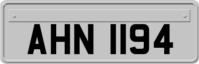 AHN1194