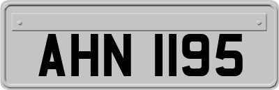 AHN1195