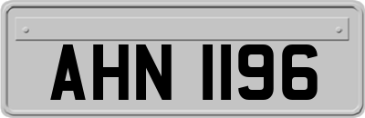 AHN1196