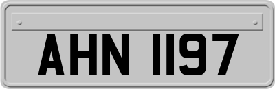 AHN1197