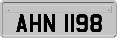 AHN1198