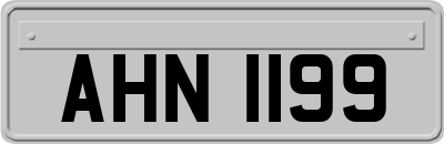 AHN1199