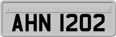 AHN1202