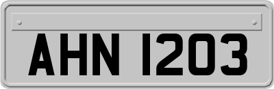 AHN1203