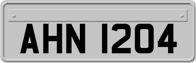 AHN1204
