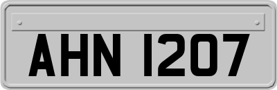 AHN1207