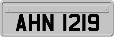 AHN1219
