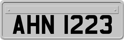AHN1223