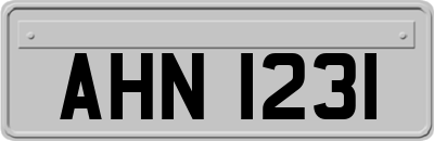 AHN1231