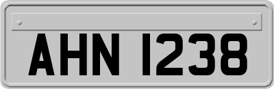 AHN1238