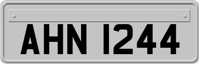 AHN1244