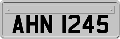 AHN1245