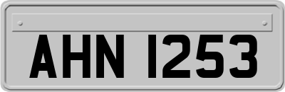 AHN1253