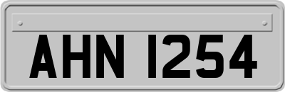 AHN1254