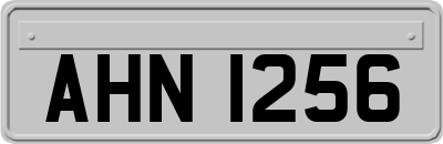 AHN1256