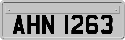 AHN1263