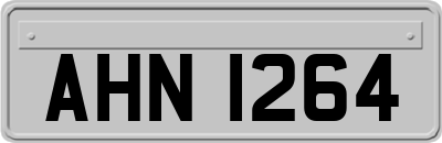 AHN1264