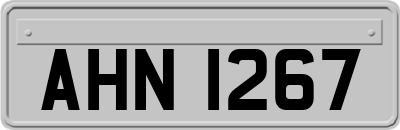 AHN1267