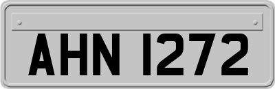 AHN1272