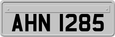 AHN1285