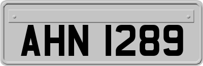 AHN1289