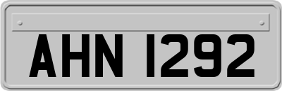 AHN1292