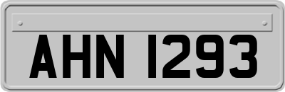 AHN1293