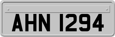 AHN1294