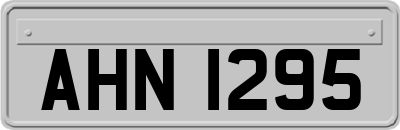 AHN1295