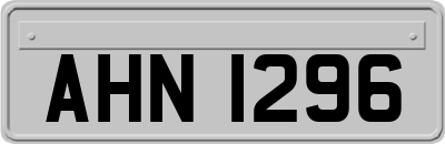 AHN1296