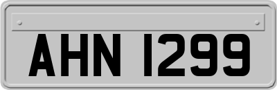 AHN1299