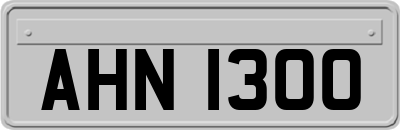 AHN1300