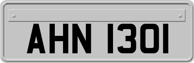 AHN1301