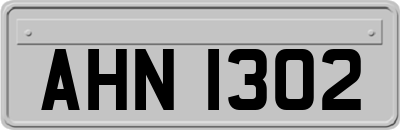AHN1302