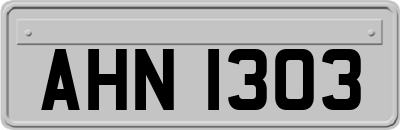 AHN1303