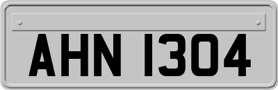 AHN1304