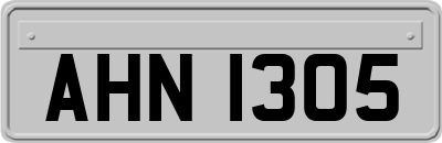 AHN1305