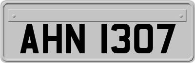 AHN1307