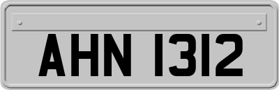 AHN1312