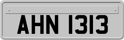 AHN1313