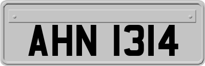 AHN1314
