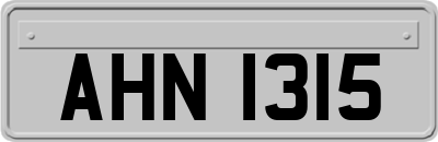 AHN1315