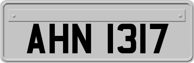 AHN1317