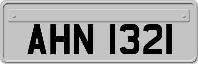 AHN1321