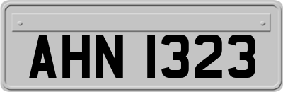 AHN1323