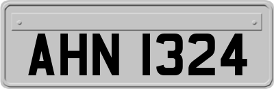 AHN1324