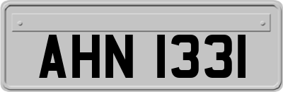 AHN1331