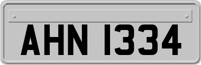 AHN1334