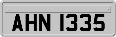 AHN1335