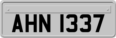 AHN1337